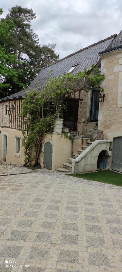 Maison D'Hotes Prince Face Au Chateau Du Clos Luce Amboise Esterno foto